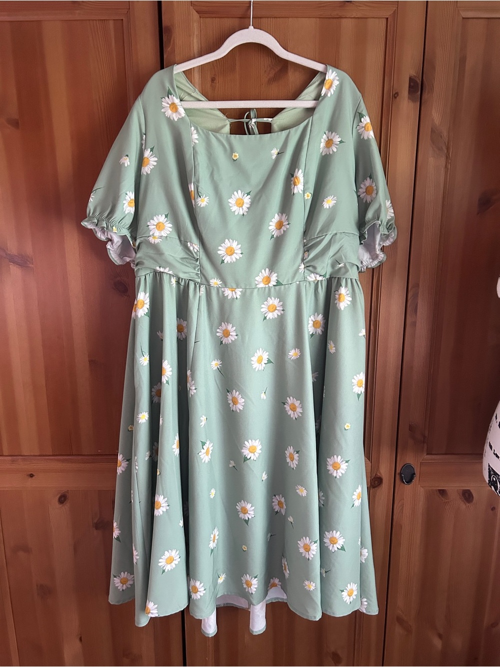 Daisy Print Sage Green Cottagecore Dress - XXL